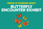 Teal banner announcing the Butterfly Encounter Exhibit with orange butterflies and the headline 'Wings of Wonder Awaits!'